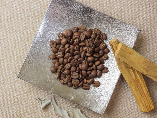 オーストラリアのコーヒーに惹かれた理由 ── 流行でも豆でもなく、文化と向き合い方の話